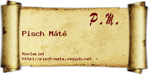 Pisch Máté névjegykártya